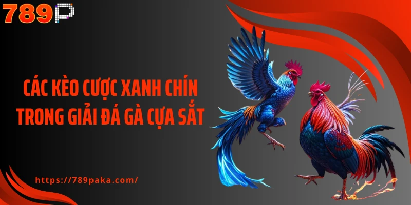 Các kèo cược xanh chín trong giải đá gà cựa sắt