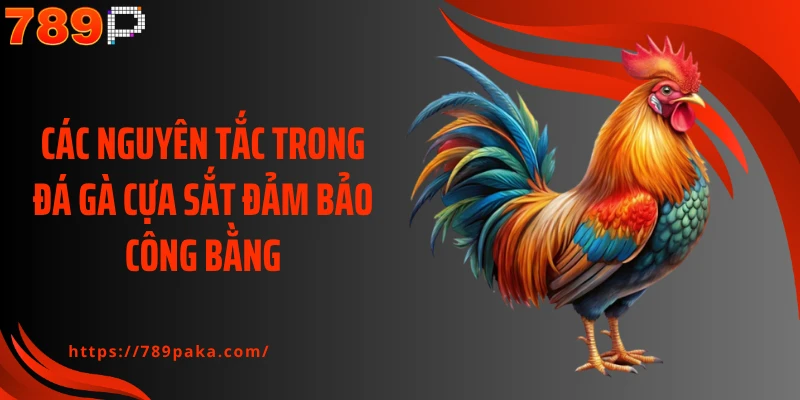 Các nguyên tắc trong đá gà cựa sắt đảm bảo công bằng