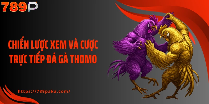 Chiến lược xem và cược trực tiếp đá gà Thomo