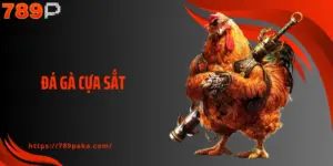 Đá Gà Cựa Sắt - Hệ Thống Giải Lớn Và Kèo Cược Hấp Dẫn