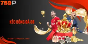 Kèo Bóng Đá 88 - Cách Đọc Kèo Chuẩn, Nắm Bắt Biến Động