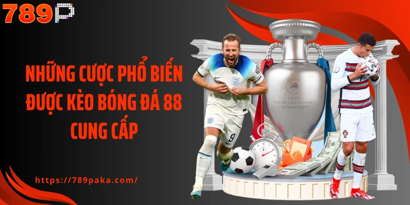 Những cược phổ biến được kèo bóng đá 88 cung cấp