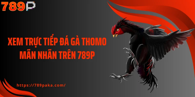 Xem trực tiếp đá gà Thomo mãn nhãn trên 789P